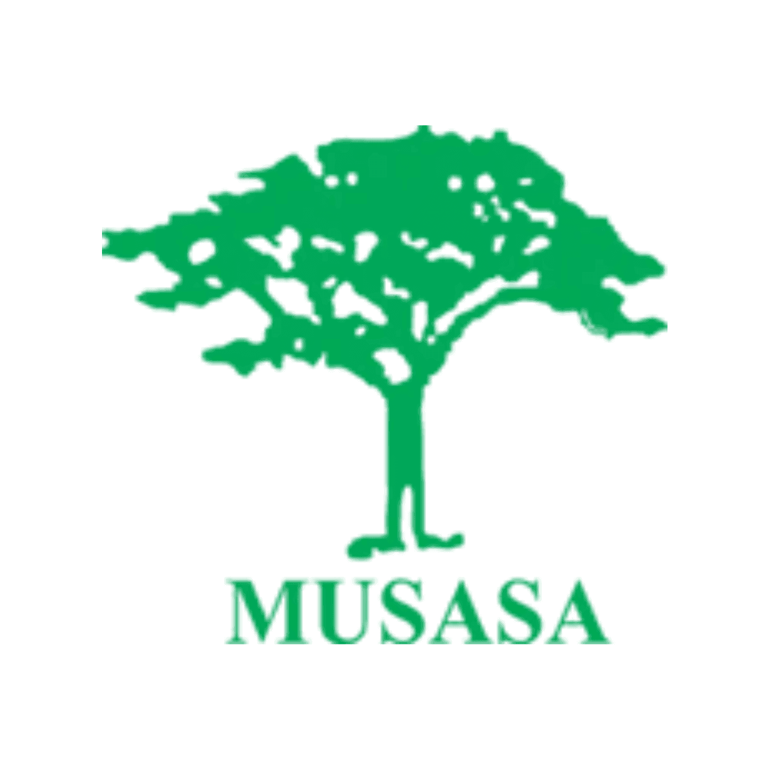 Musasa Project